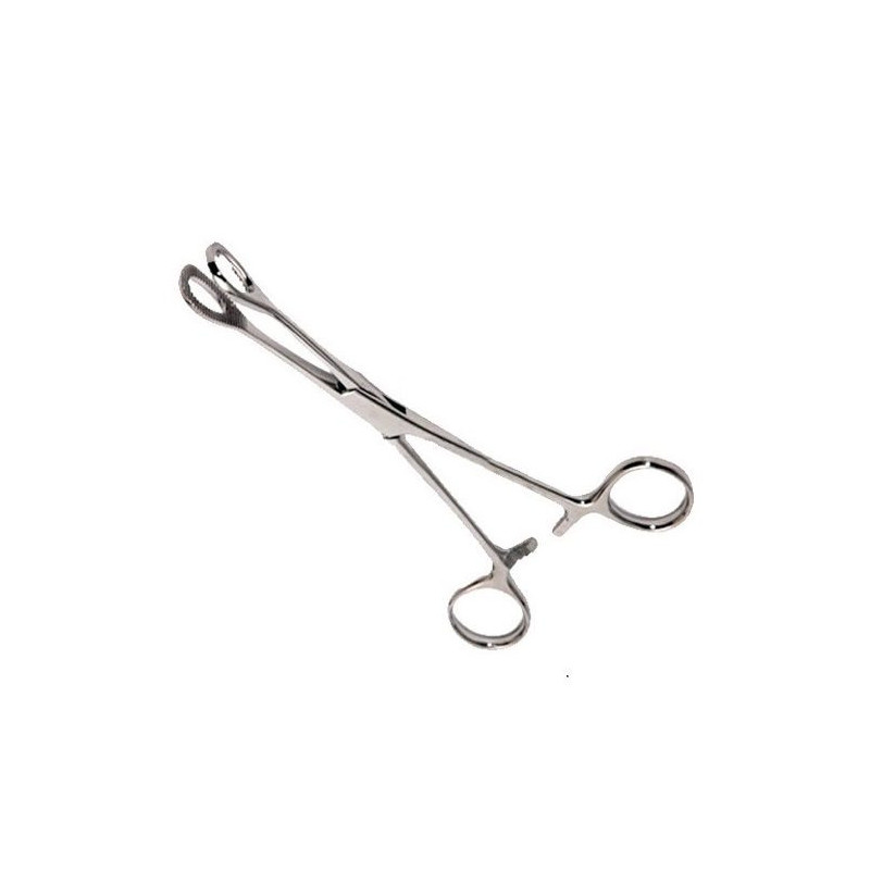 Pinza Foerster Aro recto 25cm